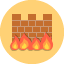 Firewall Icon Data