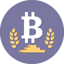 Bitcoin Icon 128 x 128 px