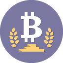 Bitcoin Icon