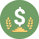 Dollar Icon