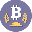Bitcoin Icon Data