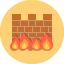 Firewall Icon