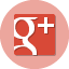 Google Plus Icon