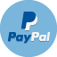 Paypal Icon Data