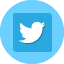 Twitter Icon Data