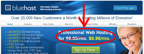 BlueHost Coupon Applied